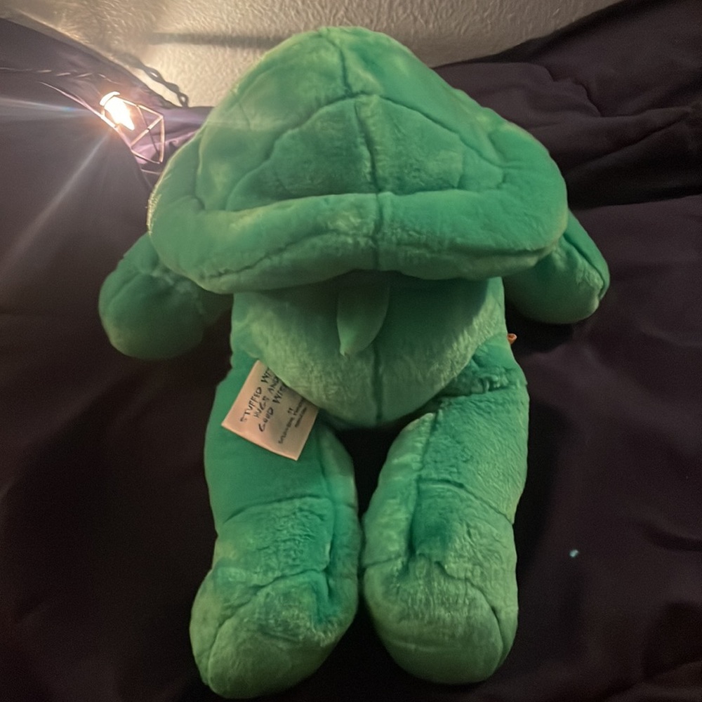 Turtle build-a-bear w/shell - Picture 3 of 4